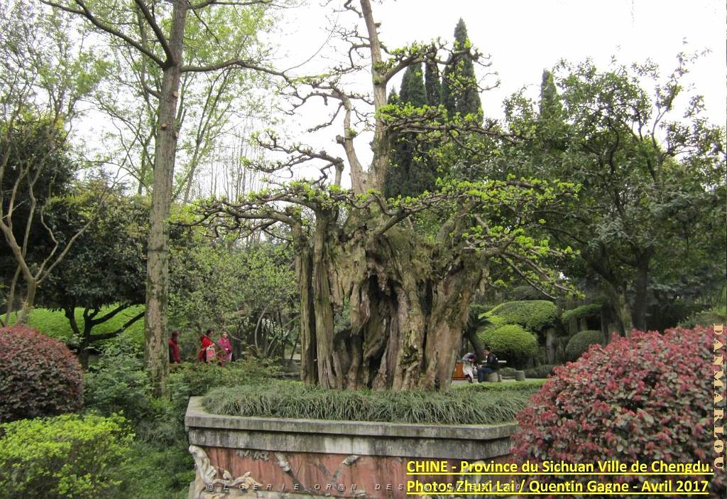 Chengdu avril 2017 - 060.JPG